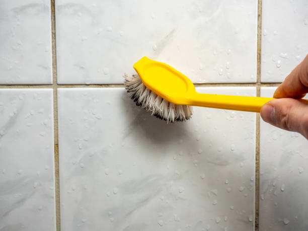 Inverness, FL Mold Removal Company