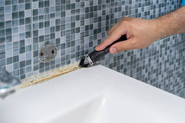 Best Black Mold Removal  in Inverness, FL